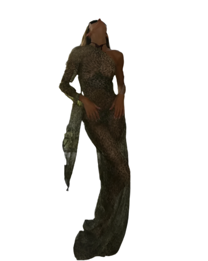 Vestido Largo de Un Solo Hombro con Estampado de Leopardo y Espalda Descubierta