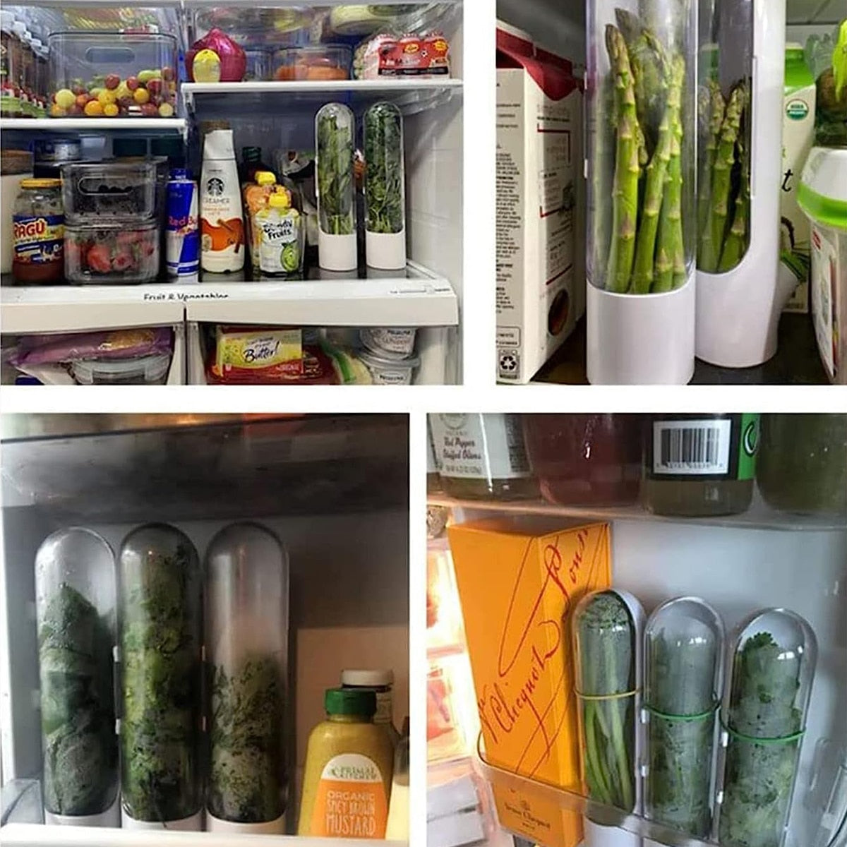 Herb Storage Container