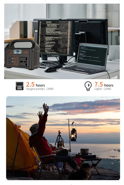 LiFePO4 Battery 110/220V Power Supply for Camping and Emergencies