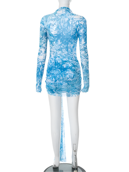 Women's Sheer Mesh Dress Long Sleeve Style 